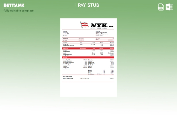 Модерен стил САД Nippon Yusen Kaisha превозот компанија paystub шаблон